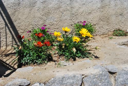 Appartamenti il Mare